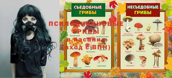 шишки Богданович