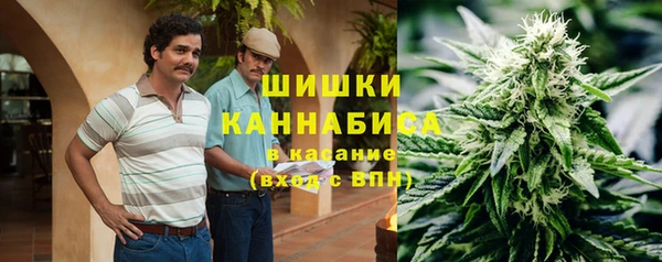 шишки Богданович