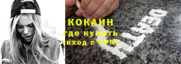 шишки Богданович