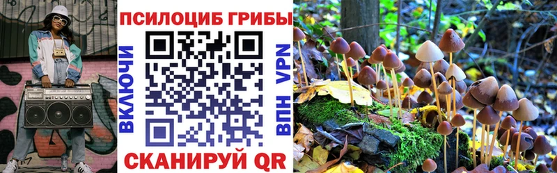 Галлюциногенные грибы мухоморы  Купить  Норильск 